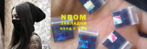 сатива Няндома