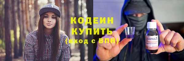 хмурый Алексин