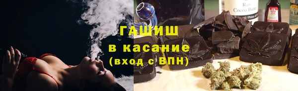 сатива Няндома