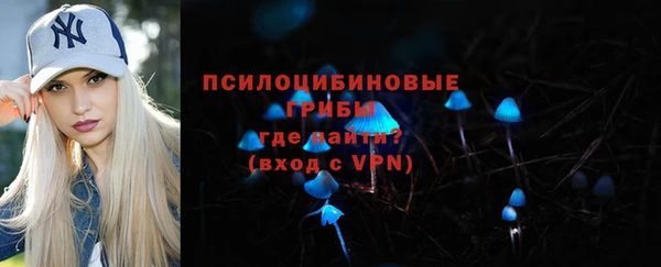 хмурый Алексин