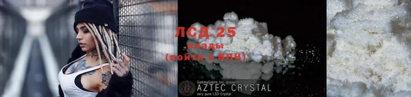 хмурый Алексин