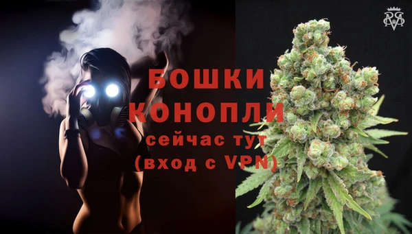 мяу мяу мука Абаза