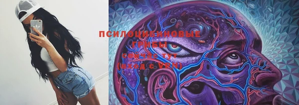 2c-b Алзамай